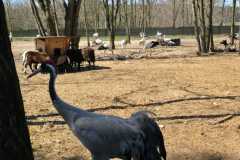 IMG-20260501-WA0008
