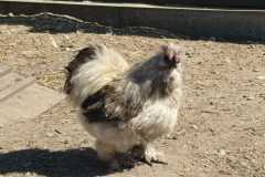 IMG-20260501-WA0011