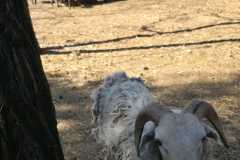IMG-20260501-WA0017
