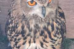 IMG-20260501-WA0027
