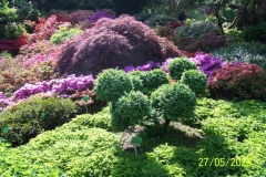 arboretum-wojslawice-2023_004