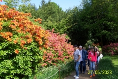 arboretum-wojslawice-2023_012