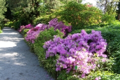 arboretum-wojslawice-2023_016