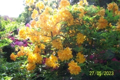 arboretum-wojslawice-2023_017