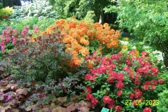 arboretum-wojslawice-2023_019
