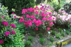 arboretum-wojslawice-2023_020
