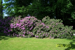 arboretum-wojslawice-2023_021