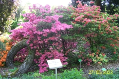 arboretum-wojslawice-2023_022