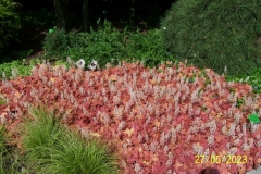 arboretum-wojslawice-2023_023
