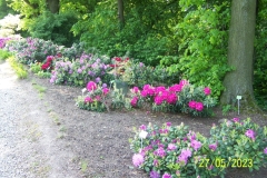 arboretum-wojslawice-2023_025
