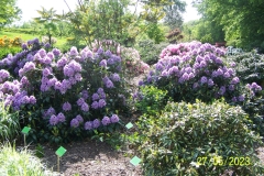arboretum-wojslawice-2023_028