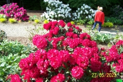 arboretum-wojslawice-2023_032