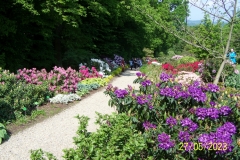 arboretum-wojslawice-2023_033