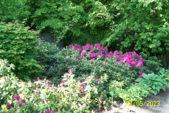 arboretum-wojslawice-2023_038