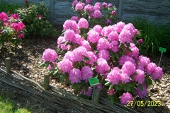 arboretum-wojslawice-2023_041