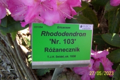 arboretum-wojslawice-2023_042