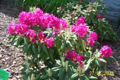 arboretum-wojslawice-2023_043