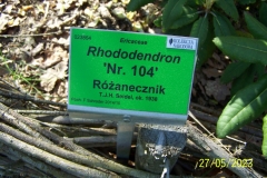 arboretum-wojslawice-2023_044