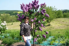arboretum-wojslawice-2023_046