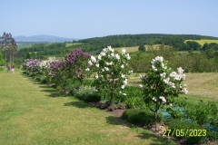 arboretum-wojslawice-2023_049