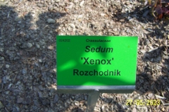 arboretum-wojslawice-2023_052
