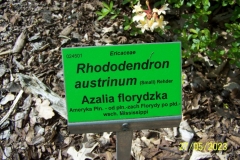 arboretum-wojslawice-2023_058