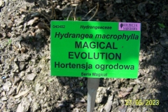 arboretum-wojslawice-2023_060