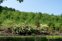 arboretum-wojslawice-2023_062