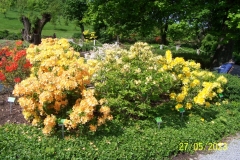 arboretum-wojslawice-2023_063