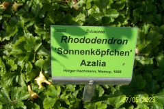 arboretum-wojslawice-2023_064