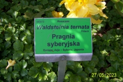 arboretum-wojslawice-2023_065