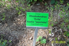 arboretum-wojslawice-2023_069