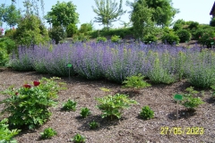 arboretum-wojslawice-2023_070