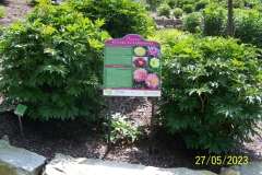 arboretum-wojslawice-2023_071
