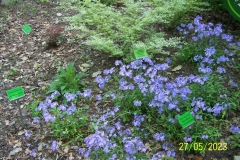 arboretum-wojslawice-2023_073