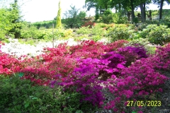 arboretum-wojslawice-2023_087