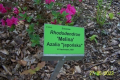 arboretum-wojslawice-2023_088