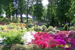 arboretum-wojslawice-2023_089
