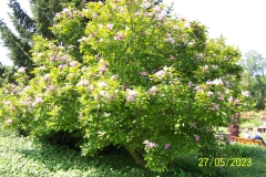arboretum-wojslawice-2023_091