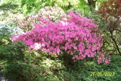 arboretum-wojslawice-2023_096