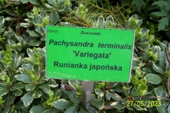 arboretum-wojslawice-2023_097
