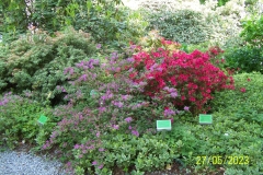 arboretum-wojslawice-2023_099