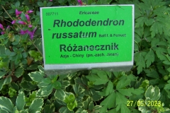 arboretum-wojslawice-2023_100