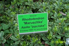 arboretum-wojslawice-2023_101