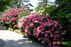 arboretum-wojslawice-2023_102