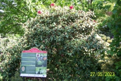 arboretum-wojslawice-2023_110