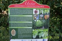 arboretum-wojslawice-2023_111