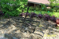 arboretum-wojslawice-2023_116