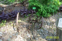 arboretum-wojslawice-2023_117