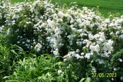 arboretum-wojslawice-2023_123